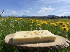 Emmentaler aus den Allgu am Stck 400g